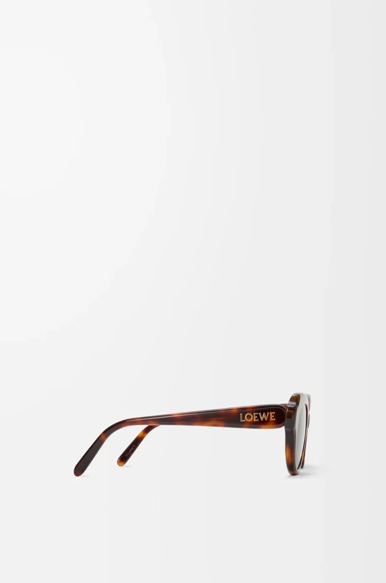 gafas de sol swan slim havana