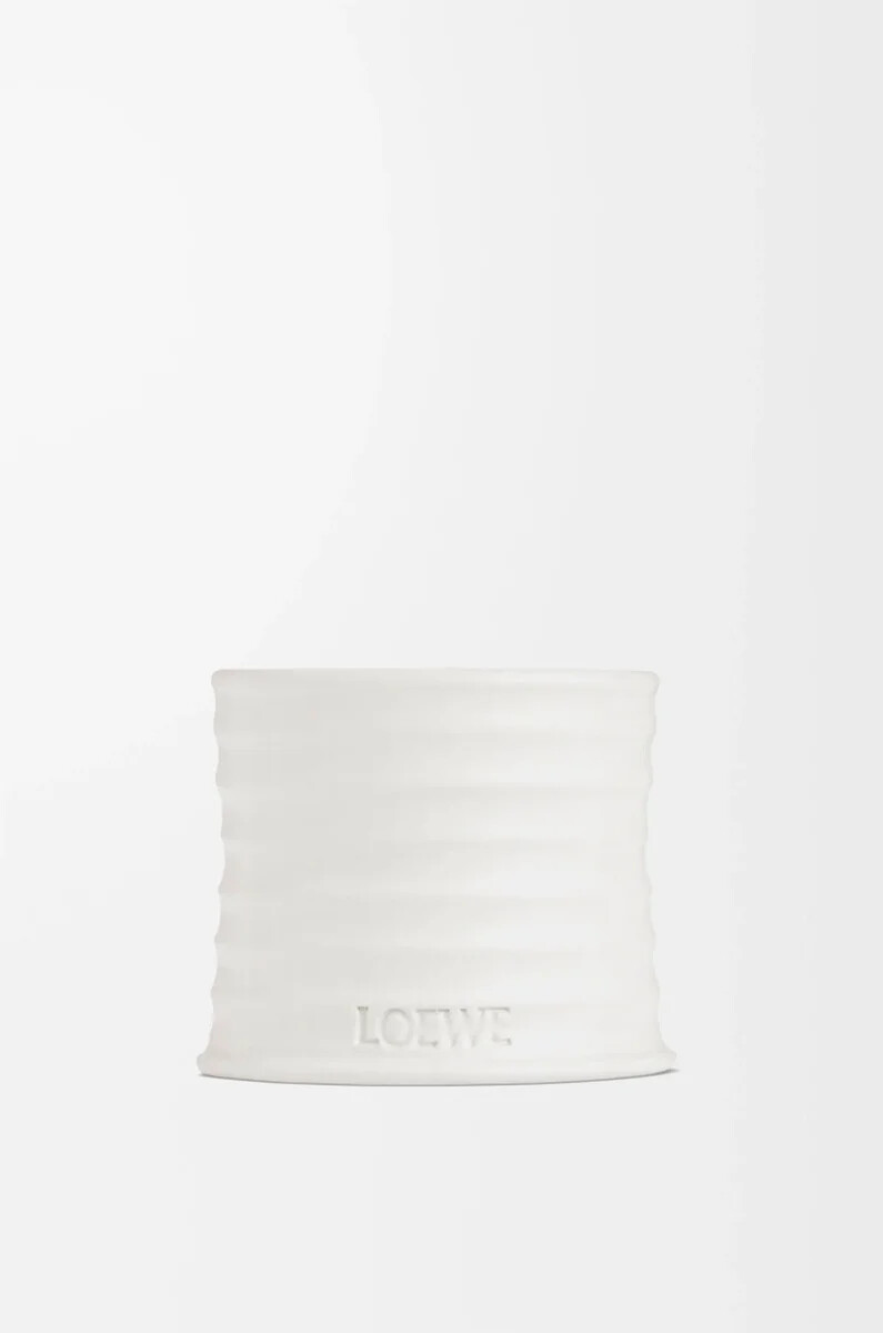 vela pequeña de orégano blanca