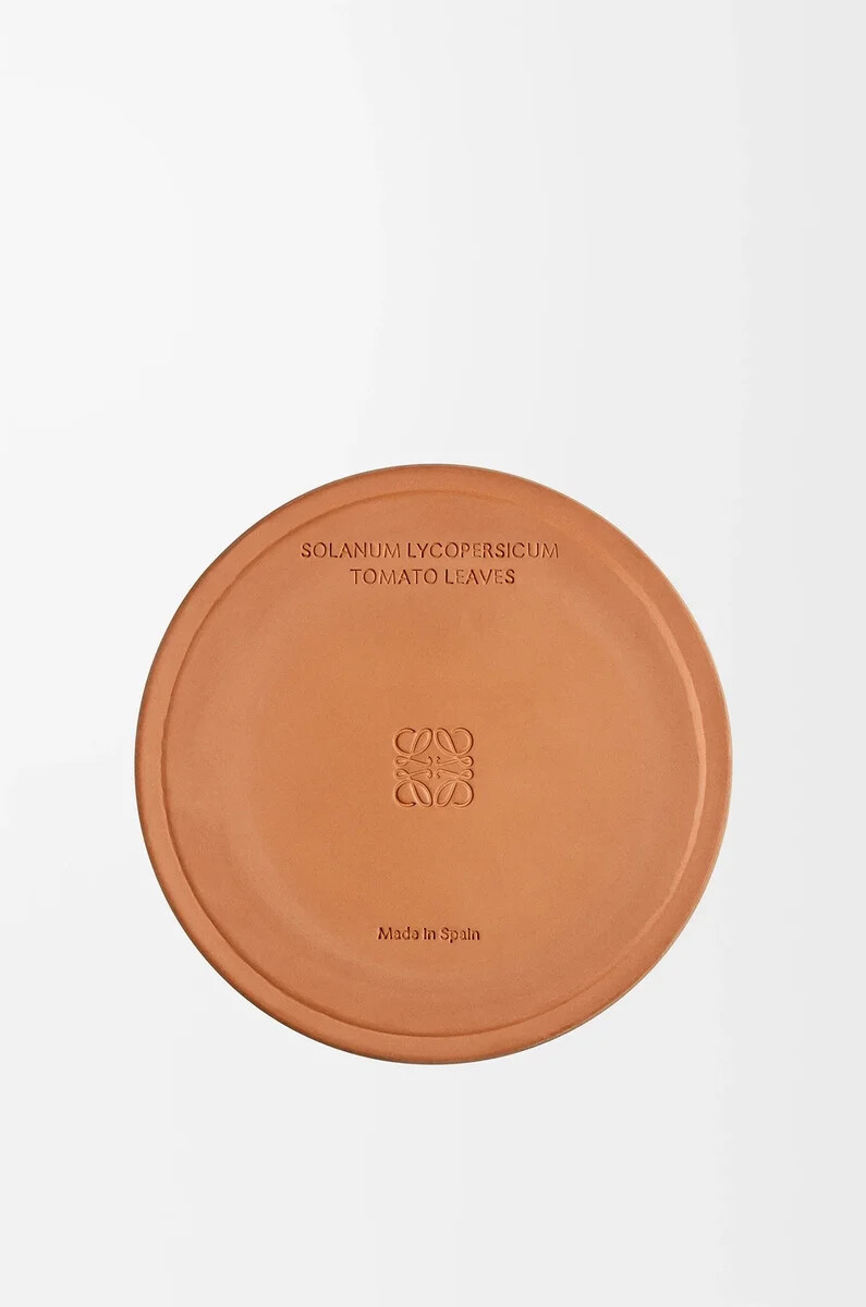 vela de hojas de tomate grandes rojas