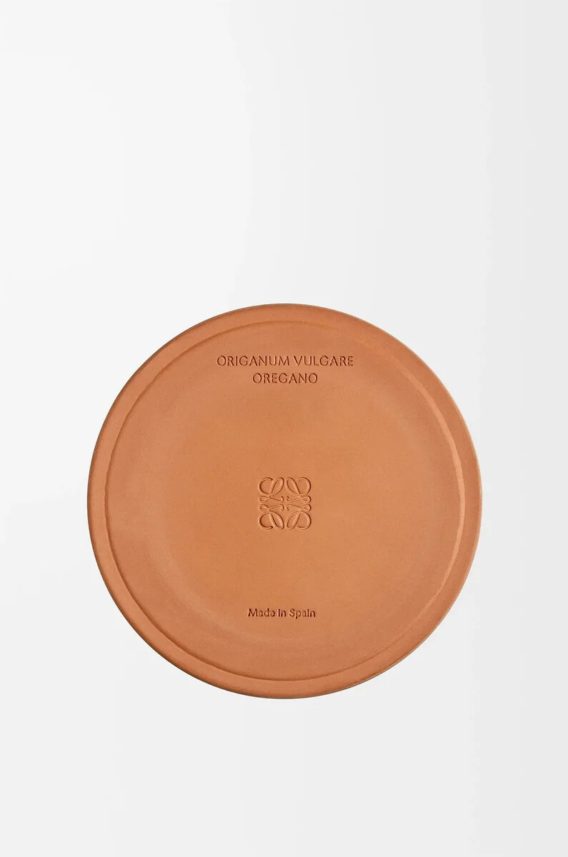 vela grande de orégano blanca