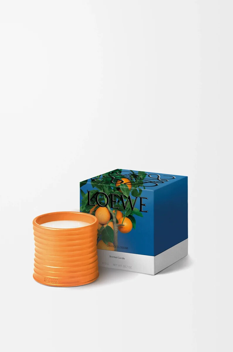 vela mediana de flor de naranja mandarina brillante