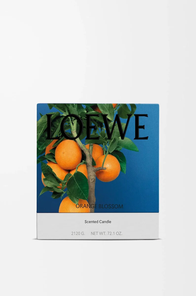 vela grande de flor de naranja mandarina brillante