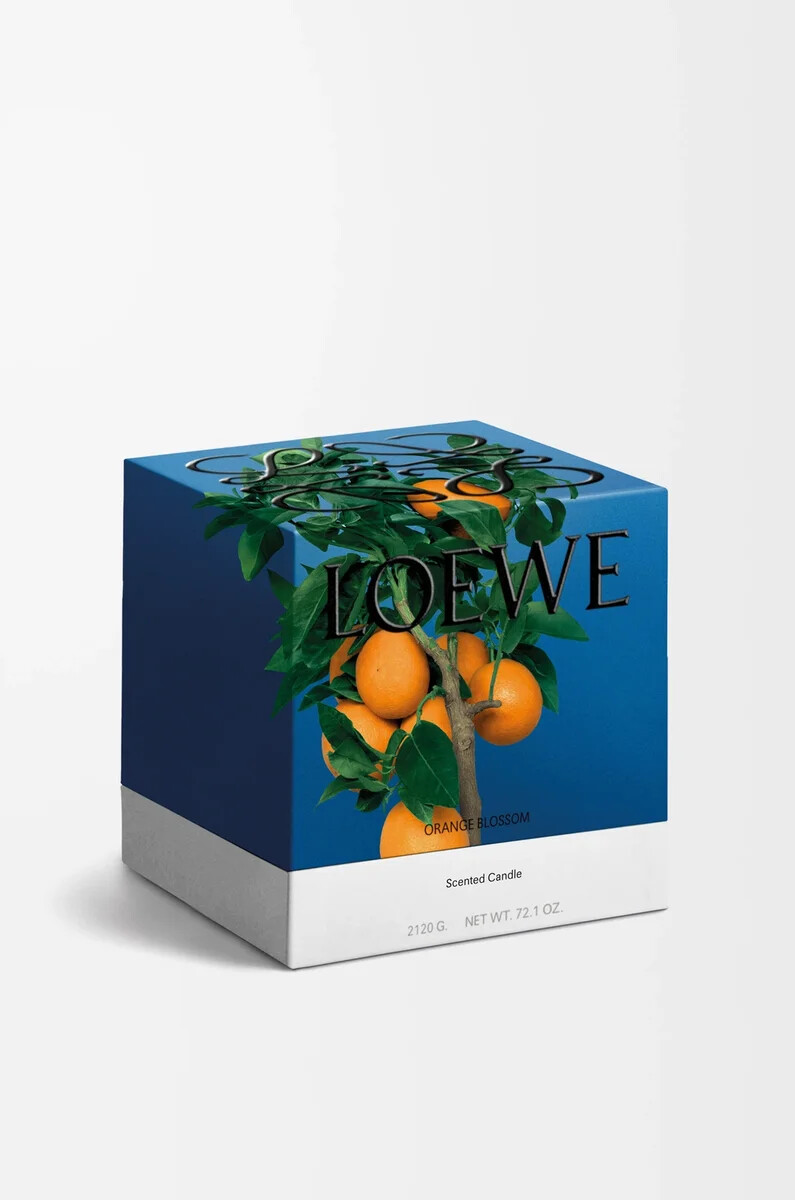 vela grande de flor de naranja mandarina brillante