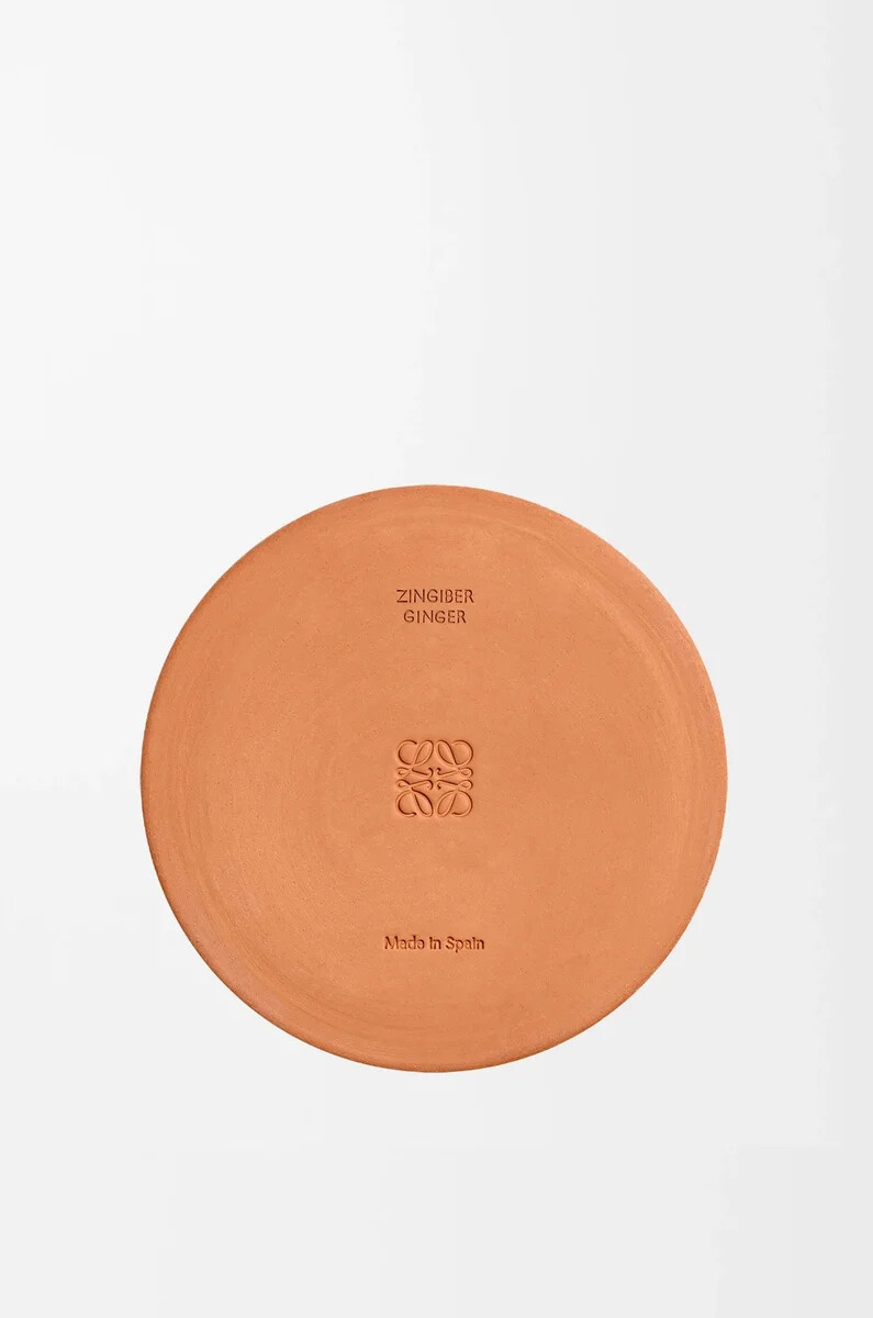 vela de exterior de jengibre y naranja